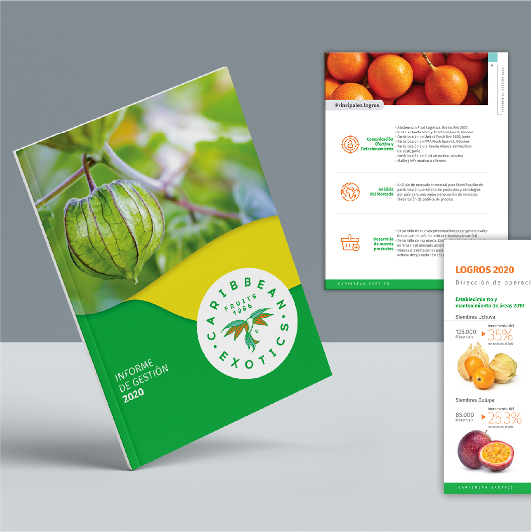 Informe-de-Gestion-2020-Caribbean-Exotics