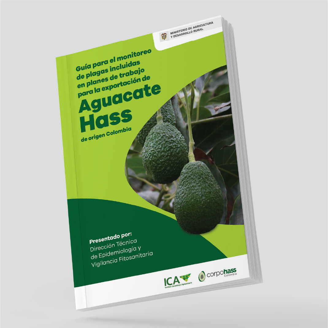 informe-de-gestion